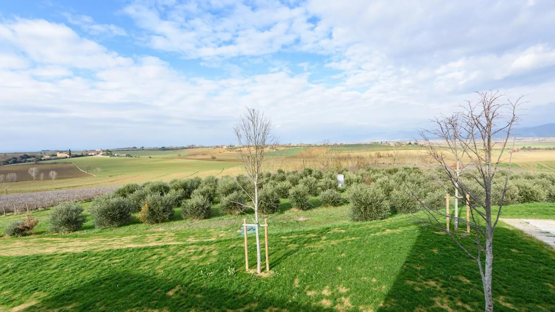 Villa Farneta By Mmega Cortona Italia